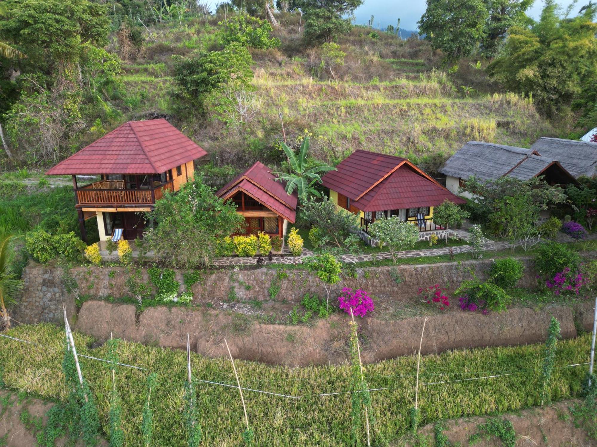 Rinjani Mountain Garden Hotel Bayan Exterior foto